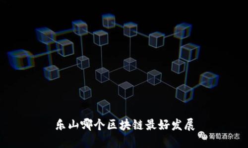 乐山市哪个区块链最好发展？