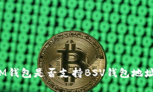 IM钱包是否支持BSV钱包地址?