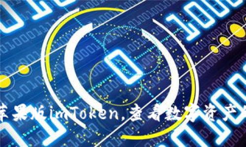 下载官网苹果版imToken,查看数字资产的最佳途径