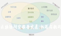 区块链研究报告发展：机