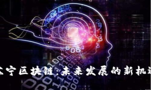 苏宁区块链:未来发展的新机遇