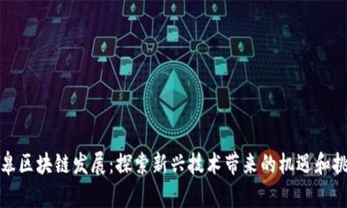 如皋区块链发展:探索新兴技术带来的机遇和挑战