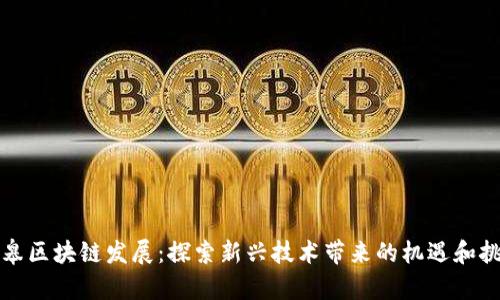 如皋区块链发展:探索新兴技术带来的机遇和挑战
