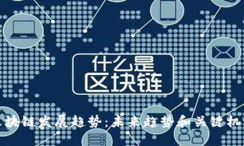 区块链发展趋势:未来趋势和关键机遇