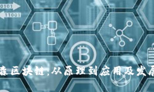 美盈森区块链:从原理到应用及发展前景