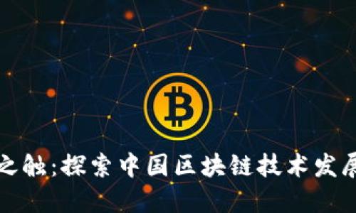 未来之触:探索中国区块链技术发展之路