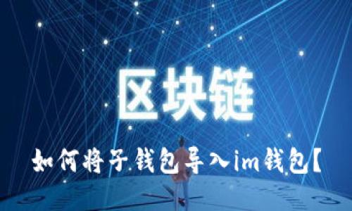 如何将子钱包导入im钱包?