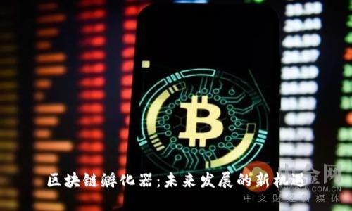 区块链孵化器:未来发展的新机遇
