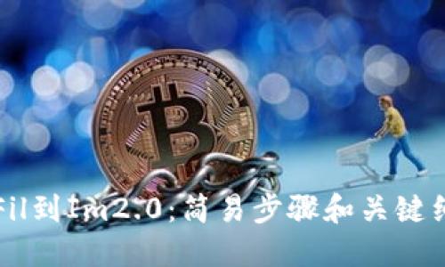 从Fil到Im2.0：简易步骤和关键细节