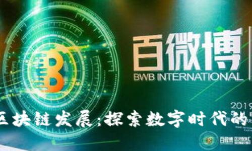 BD区块链发展:探索数字时代的未来