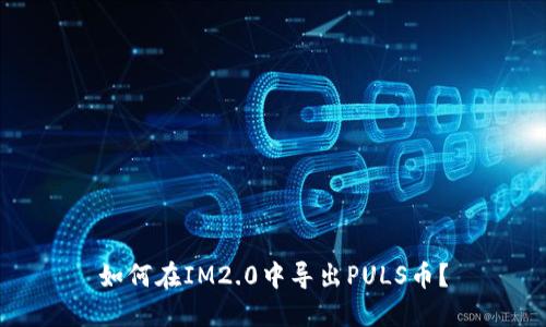 如何在IM2.0中导出PULS币？