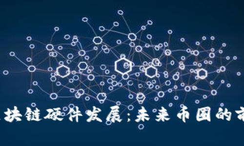 区块链硬件发展:未来币圈的前景