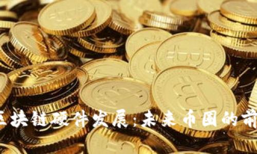 区块链硬件发展:未来币圈的前景