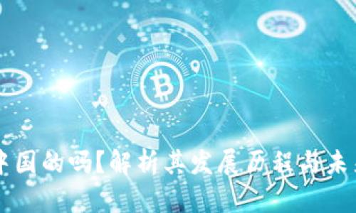 IM钱包是中国的吗?解析其发展历程与未来发展趋势