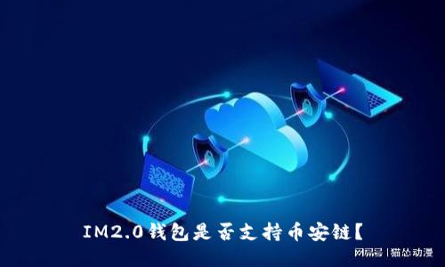 IM2.0钱包是否支持币安链?