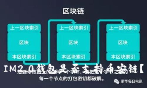 IM2.0钱包是否支持币安链?