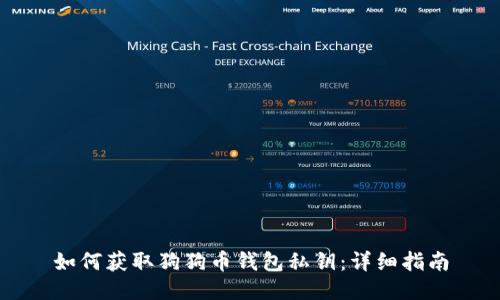 如何获取狗狗币钱包私钥:详细指南