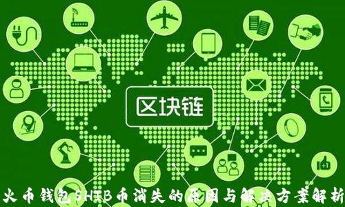 火币钱包SHIB币消失的原因与解决方案解析