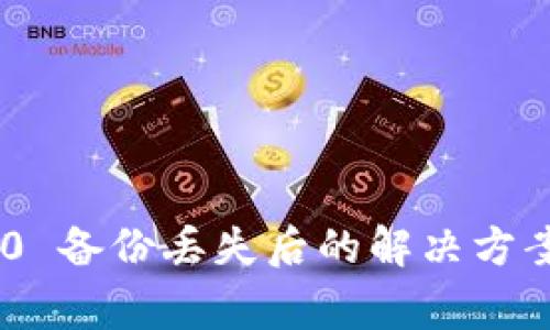 Tokenim 2.0 备份丢失后的解决方案与注意事项