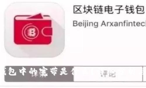 TRX钱包中的宽带是什么?详细分析与解读