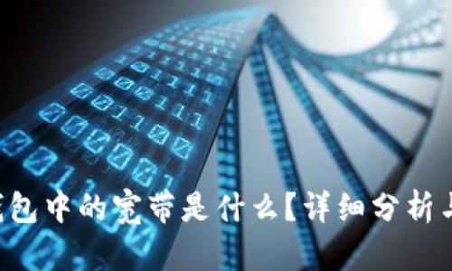 TRX钱包中的宽带是什么?详细分析与解读
