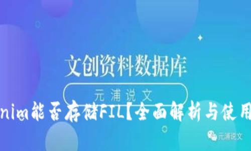 Tokenim能否存储FIL？全面解析与使用指南