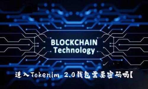 进入Tokenim 2.0钱包需要密码吗？