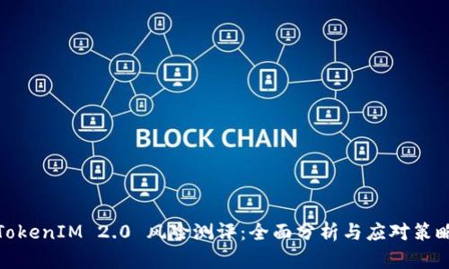 TokenIM 2.0 风险测评：全面分析与应对策略