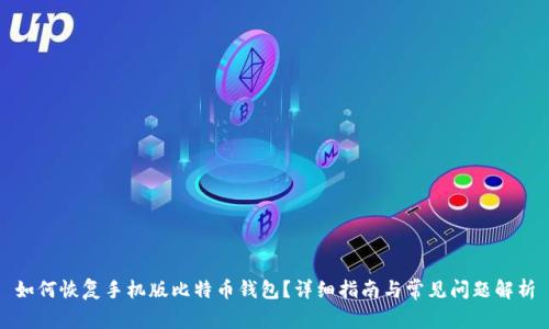 如何恢复手机版比特币钱包?详细指南与常见问题解析