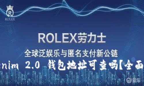 Tokenim 2.0 钱包地址可查吗？全面解读