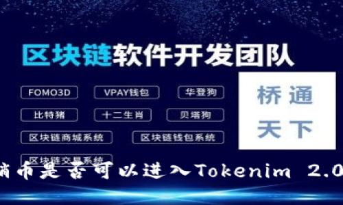 : 传销币是否可以进入Tokenim 2.0钱包？