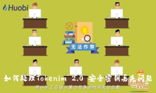 如何处理Tokenim 2.0 安全密钥丢失问题