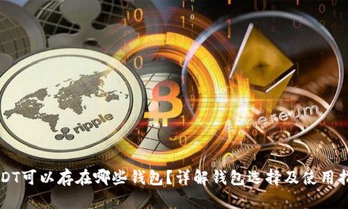 USDT可以存在哪些钱包?详解钱包选择及使用指南