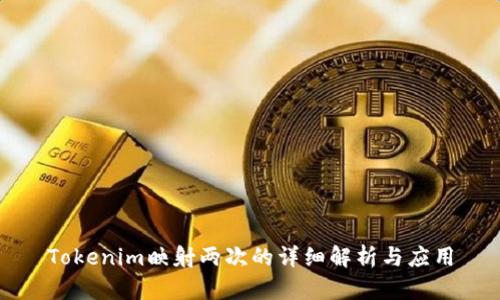 Tokenim映射两次的详细解析与应用