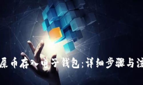 如何将屎币存入电子钱包:详细步骤与注意事项