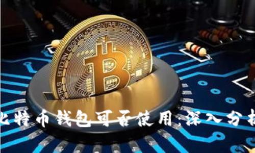挪威人比特币钱包可否使用:深入分析与解答