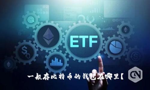 一般存比特币的钱包在哪里?