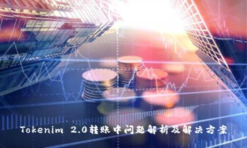 Tokenim 2.0转账中问题解析及解决方案