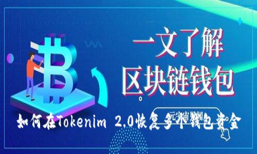 如何在Tokenim 2.0恢复多个钱包资金