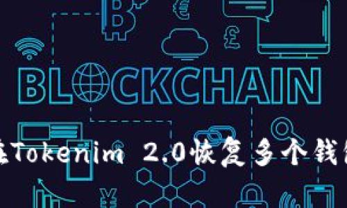 如何在Tokenim 2.0恢复多个钱包资金