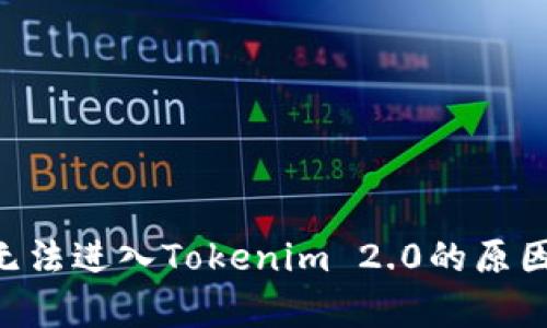 ETC无法进入Tokenim 2.0的原因分析