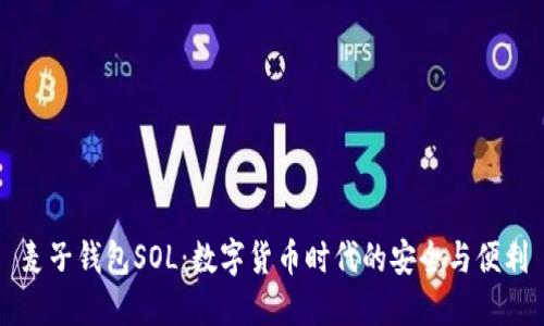 麦子钱包SOL:数字货币时代的安全与便利