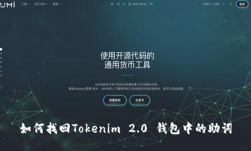 如何找回Tokenim 2.0 钱包中的助词