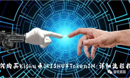 如何购买Kishu币（KISHU）TokenIM：详细流程指南