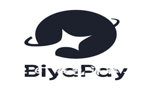 Tokenim 2.0 钱包详解与使用指南