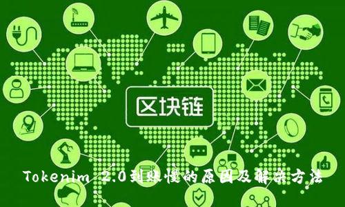 Tokenim 2.0到账慢的原因及解决方法