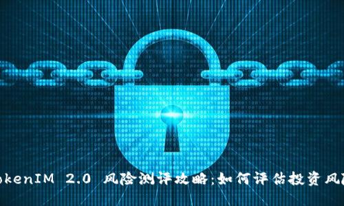 TokenIM 2.0 风险测评攻略：如何评估投资风险