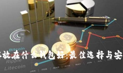 比特币存放在什么钱包好:最佳选择与安全性分析