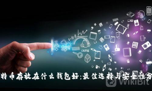 比特币存放在什么钱包好:最佳选择与安全性分析