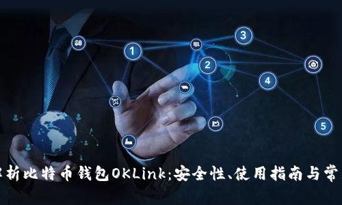全面解析比特币钱包OKLink:安全性、使用指南与常见问题